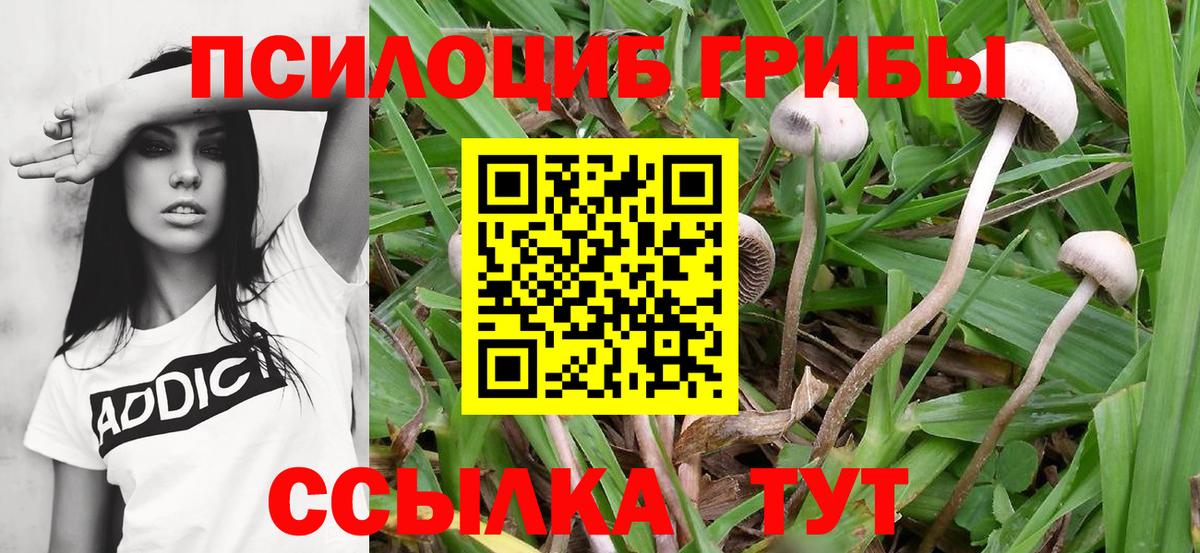 Галлюциногенные грибы мухоморы Тавда