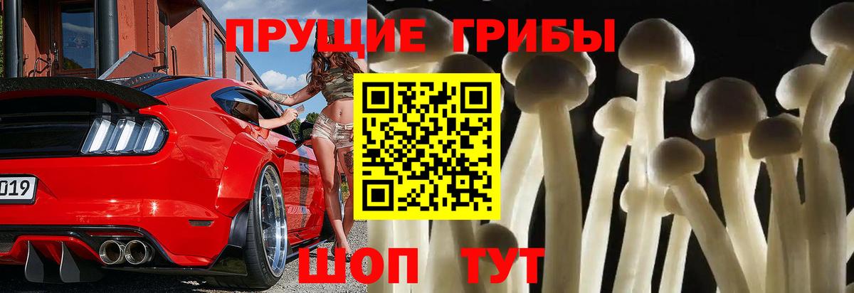 Псилоцибиновые грибы мицелий  Вход с VPN  Тавда  Псилоцибиновые грибы прущие грибы 